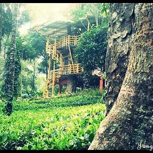  Farm stay Jungle Jive Treehouse And India